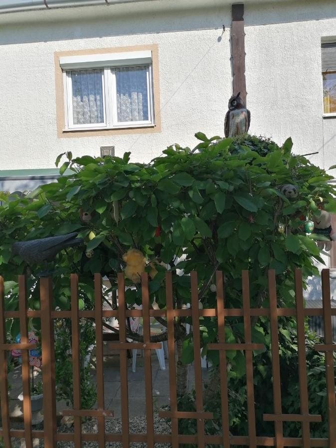 Ildikó Vendégház Hévíz Heviz Exterior foto
